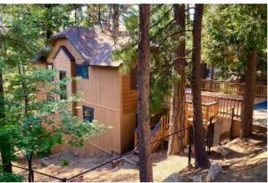 Honey Pine Lodge photo