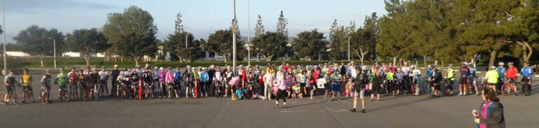 Image of volunteers